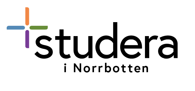 Studera i Norrbotten logo