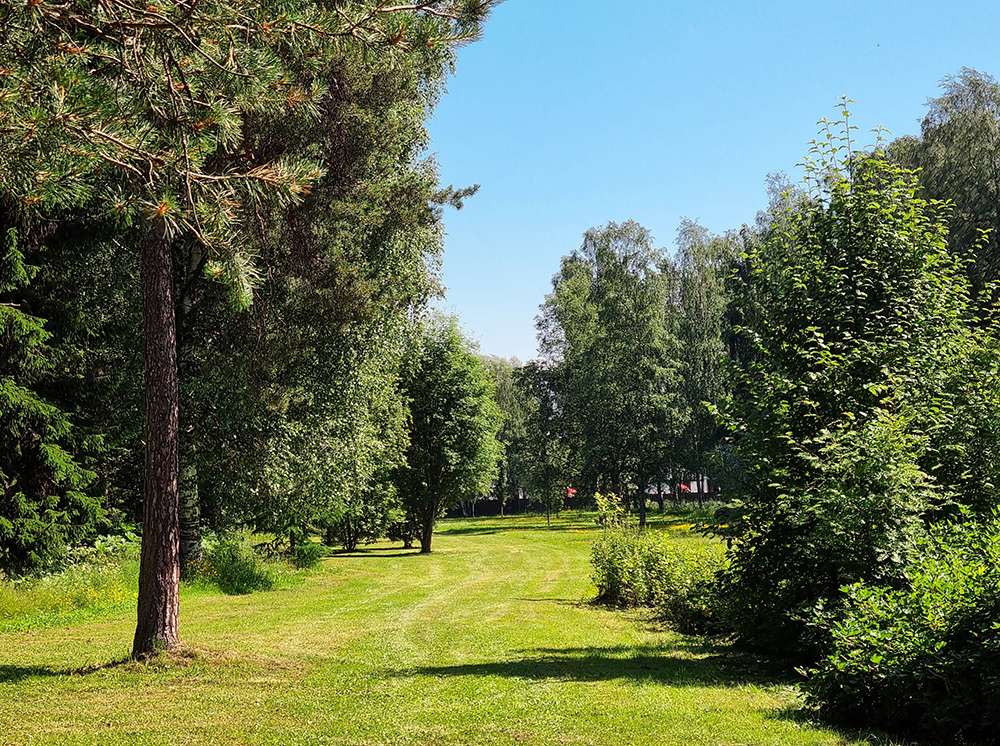 parken har öppna gräsytor och luftiga skogar