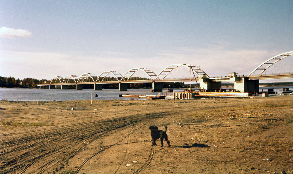 Vy över tom uppläggningsplats med liten svart hund. I bakgrunden en bro med många bågar.