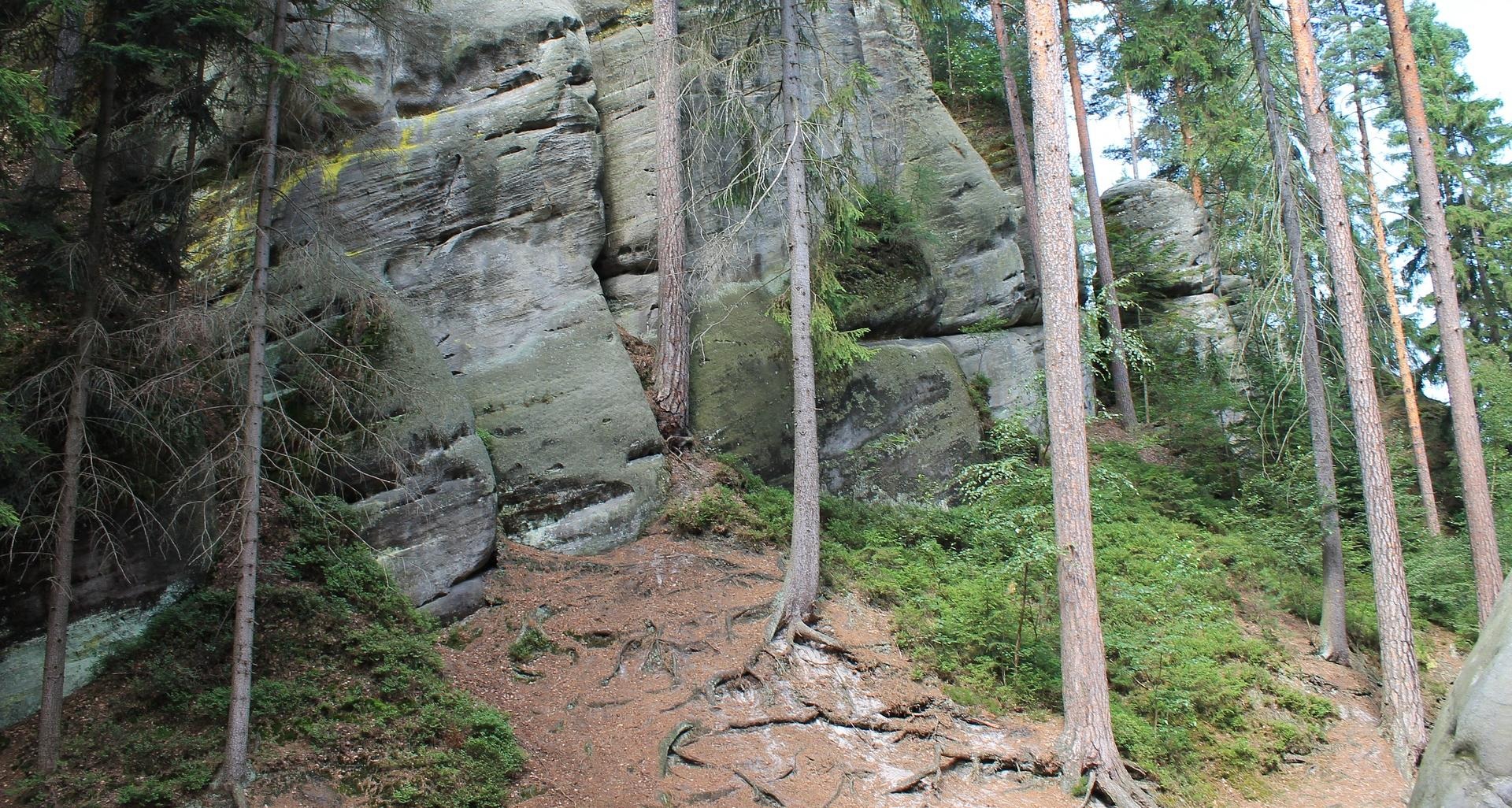Bild på ett berg och stenblock med tallar som växer invid dem