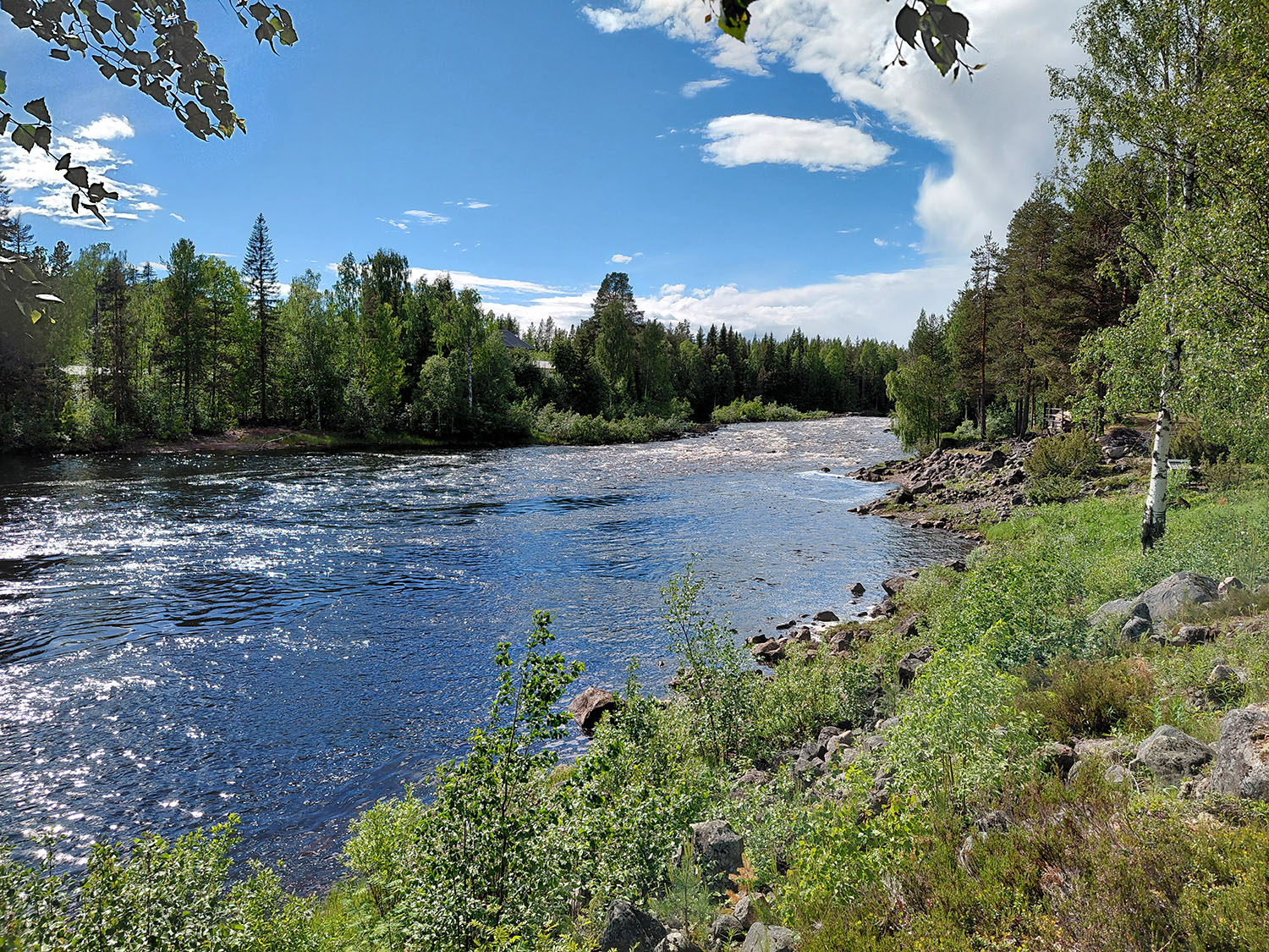 A lush summer day in Niemisel.