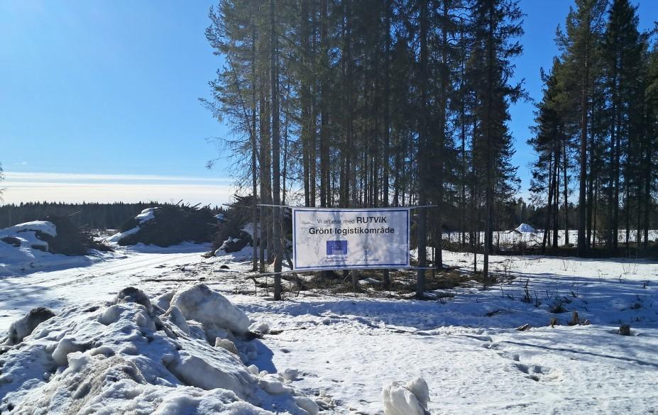 Markarbetet och trädfällning av arbetsplatsområdet har startat. Bild tagen mars 2025