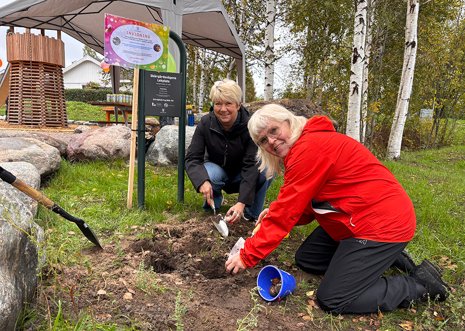 Infrastruktur och serviceförvaltningens direktör Helén Wiklund Wårell och Infrastruktur och servicenämndens ordförande Ulrika Lundberg invigde Skärgårdsvägens lekplats med tal och plantering av vårlökar.