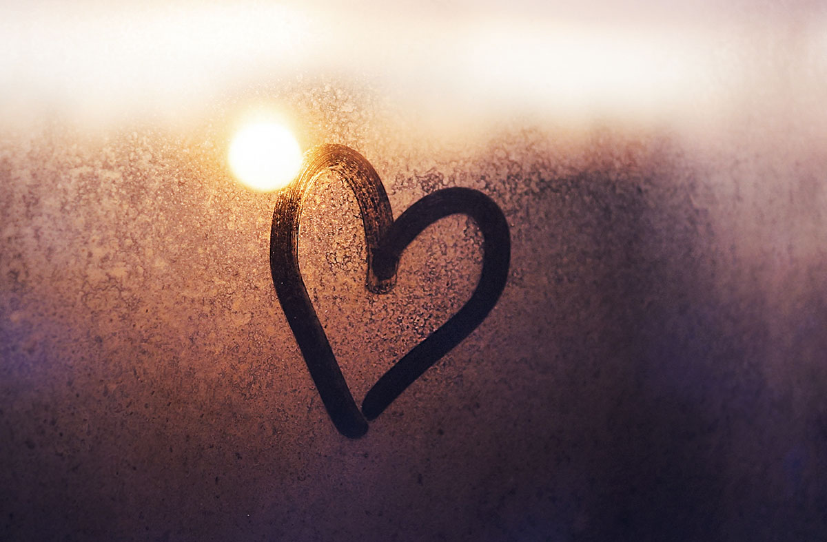 hand som håller i en ros