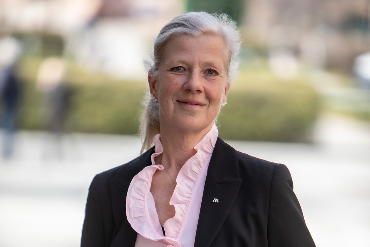 Kristina Axén Olin, Riksdagsledamot