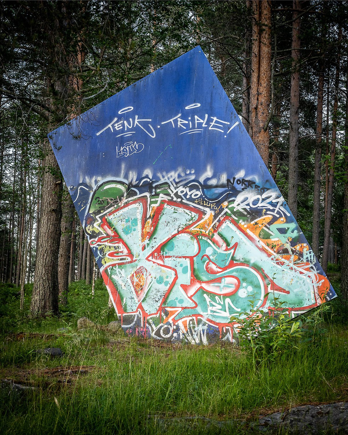 Konstverket Hundra uppsatta himlar med grafitti på