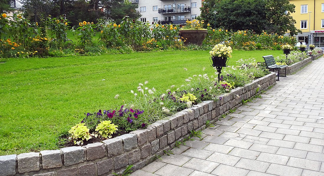 Bild på planteringar efter Storgatan mot Floras kulle. I bakgrunden synd planteringarna längs gång- och cykelvägen med de stora kokillerna med blommor i.