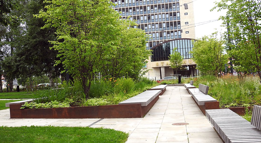 Stadsparken har långa sittbänkar vid planteringarna. I bakgrunden syns stadshuset