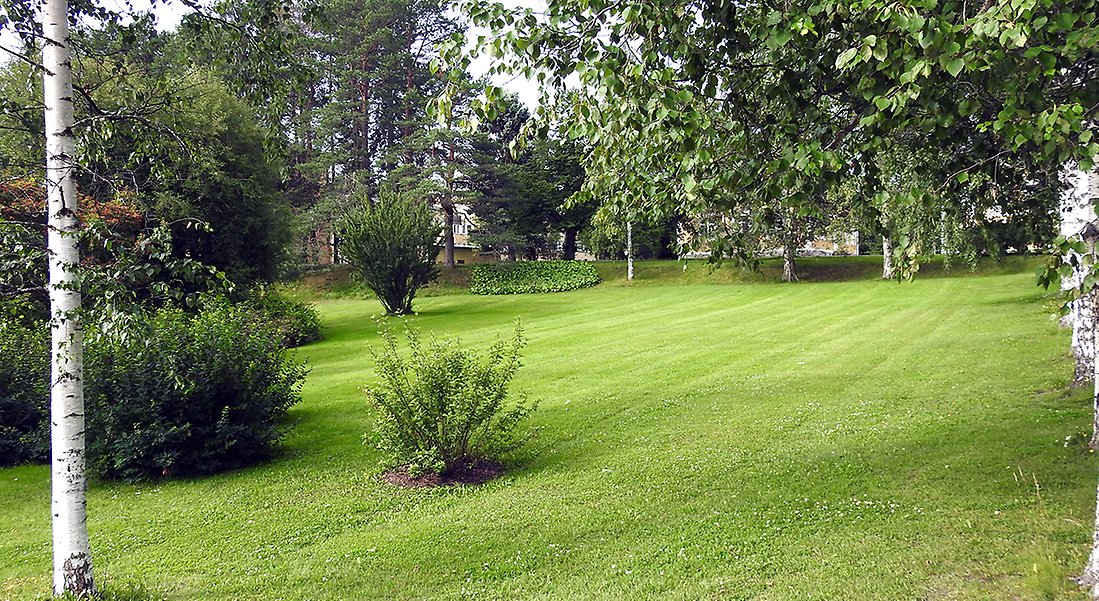 Residensparken sedd från Hermelinsparken med gröna gräsmattor och olika träd