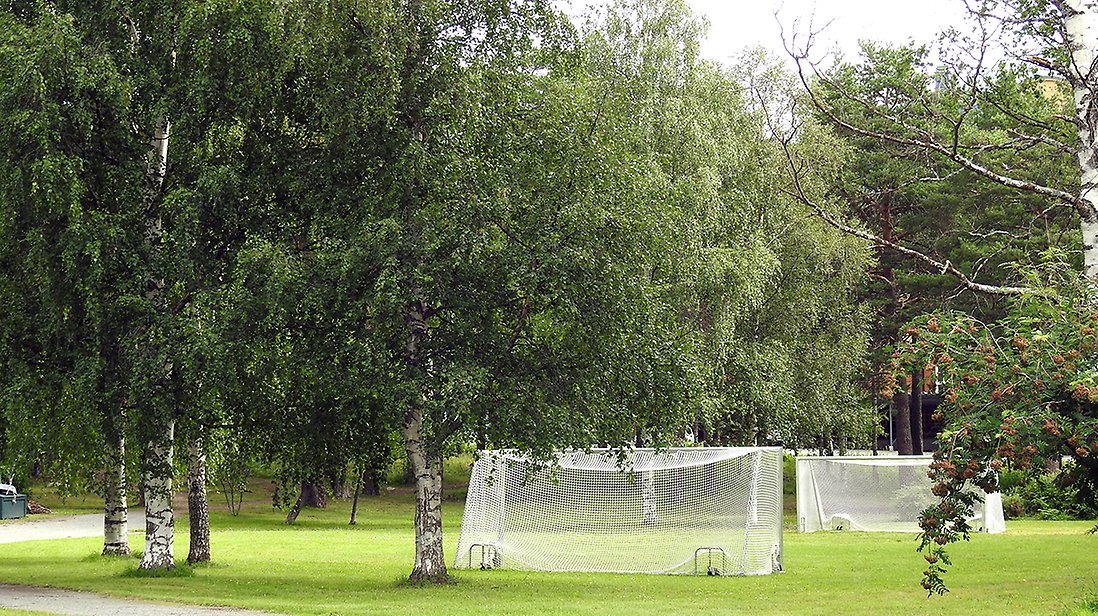 Två fotbollsmål är uppställda på gräsytan i parken