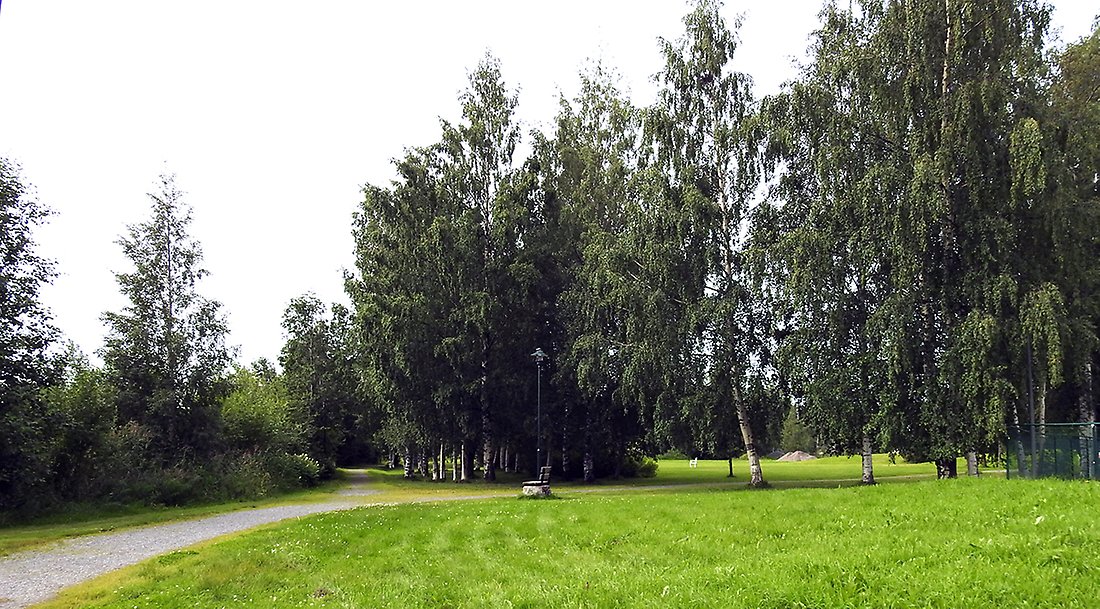 Grön gräsyta med parkbänk och lummiga träd