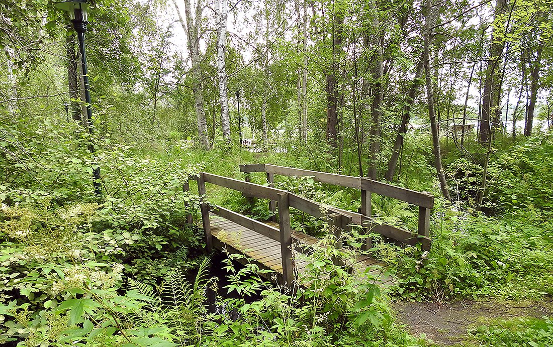 En stig leder till en träbro över ett vattendrag med lummiga växter omkring